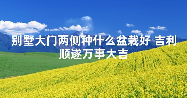 别墅大门两侧种什么盆栽好 吉利顺遂万事大吉